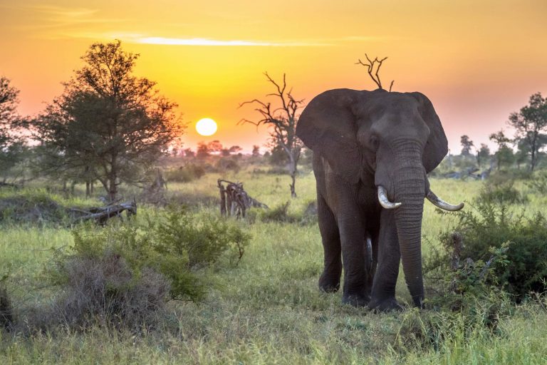 Seven exciting experiences in South Africa