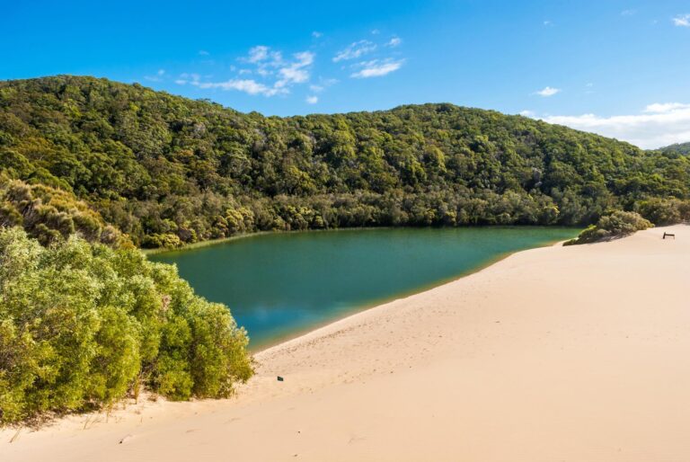 Five things to do on Fraser Island, Australia