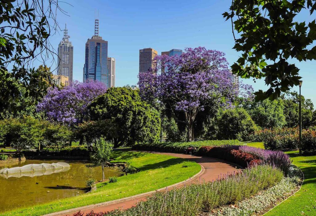 Five mustsee attractions in Melbourne