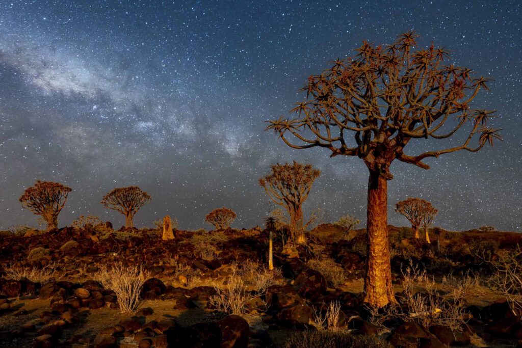Namibia: Where the Desert Meets the Deep Blue Sea