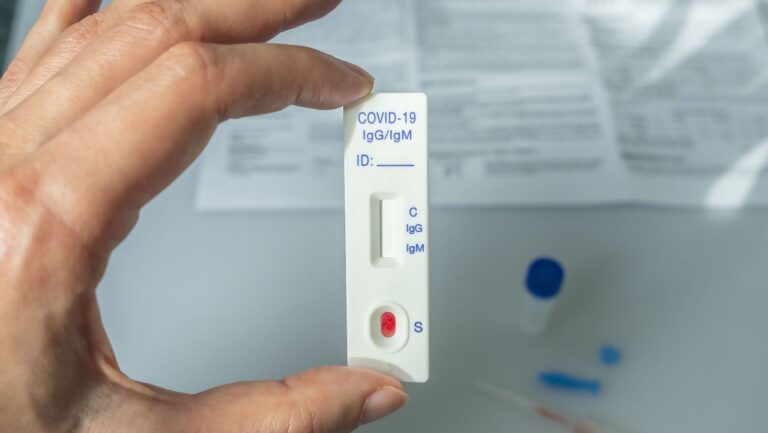 Rapid Covid Tests and Traffic Light System