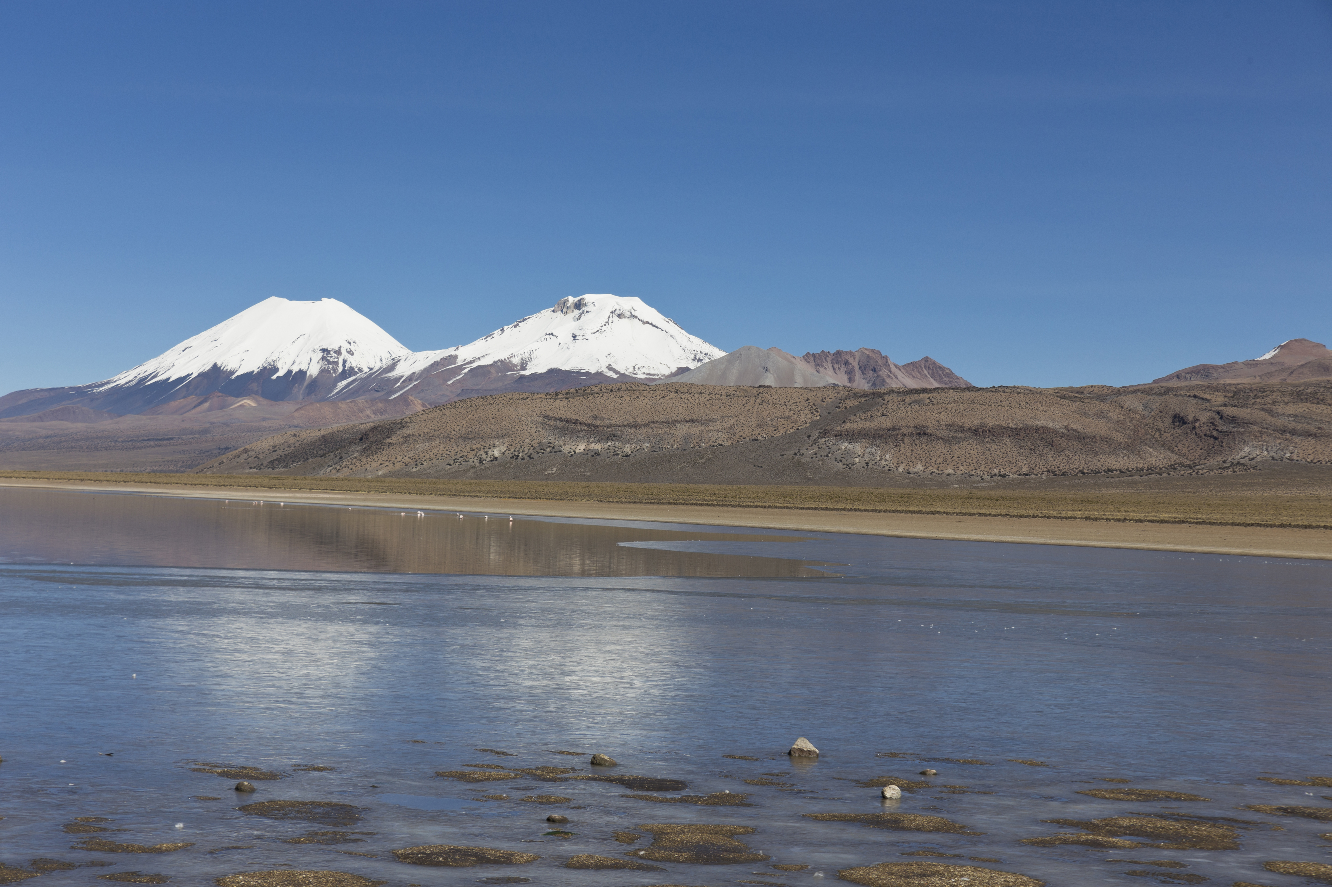 bolivia jungle tour