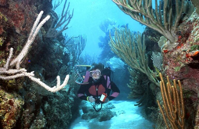 Ultimate Underwater Experiences in Honduras