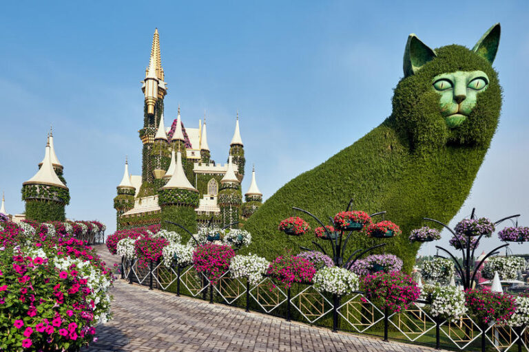 In Pictures: The Stunning Dubai Miracle Garden (25 PICS)
