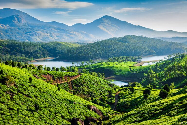 Top Destinations to Visit in Kerala
