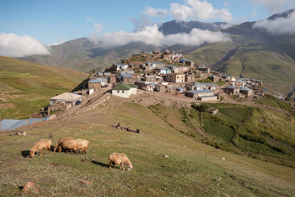 Azerbaijan - sheep grazing on green hill