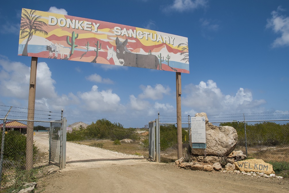 Bonaire Donkey Sanctuary