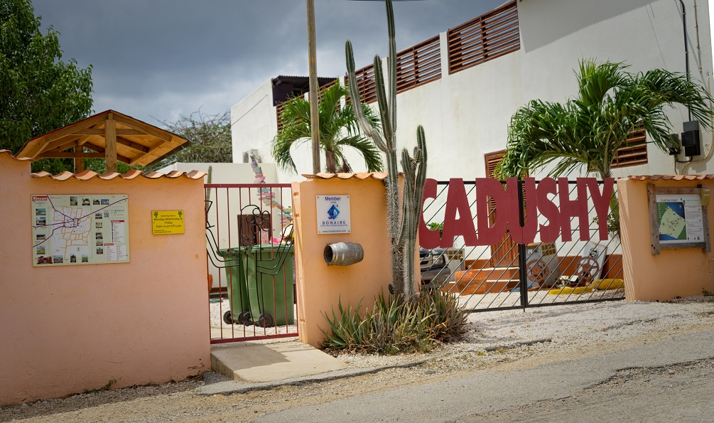 Cadushy distillery 