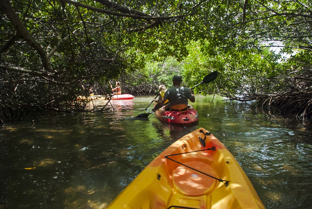 Kayaking at Jibe City