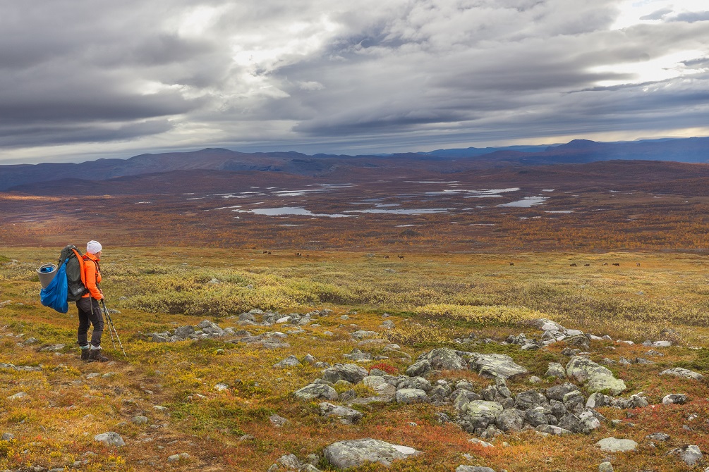 Female hiker witt backpack at Kungsleden trail admiring nature of Sarek