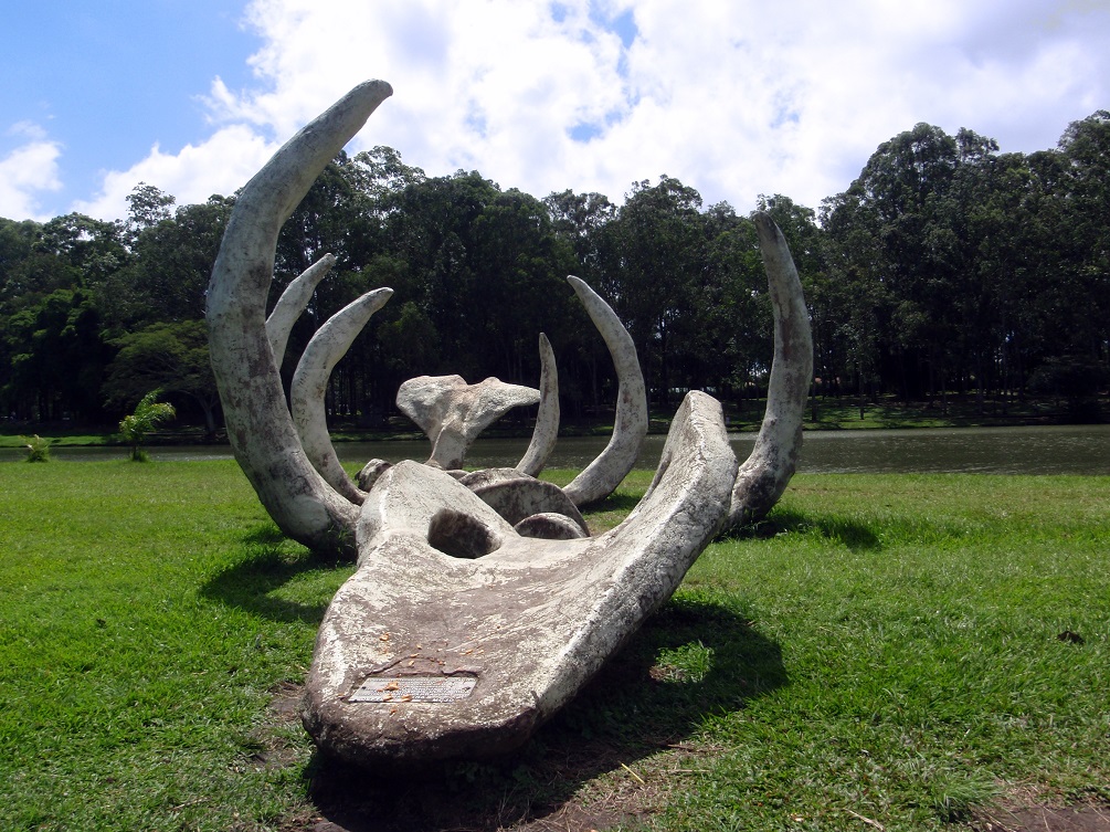 Natural Science Museum of Costa Rica