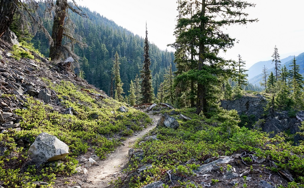 Pacific Crest Trail