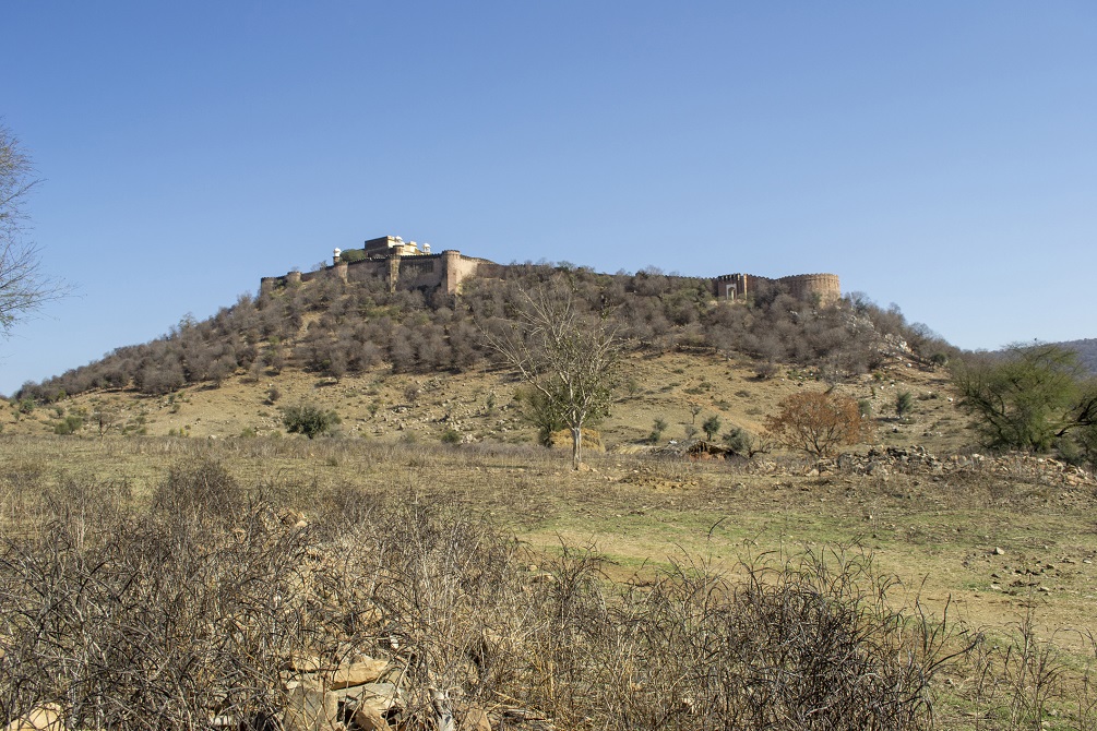 Sariska National Parks