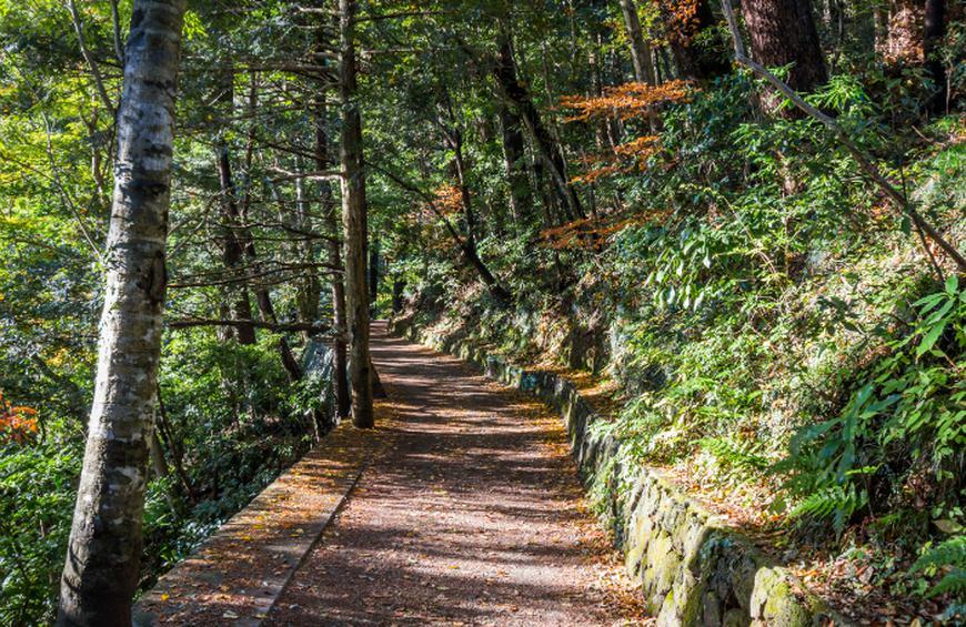 Tokai Nature Trail, Japan 