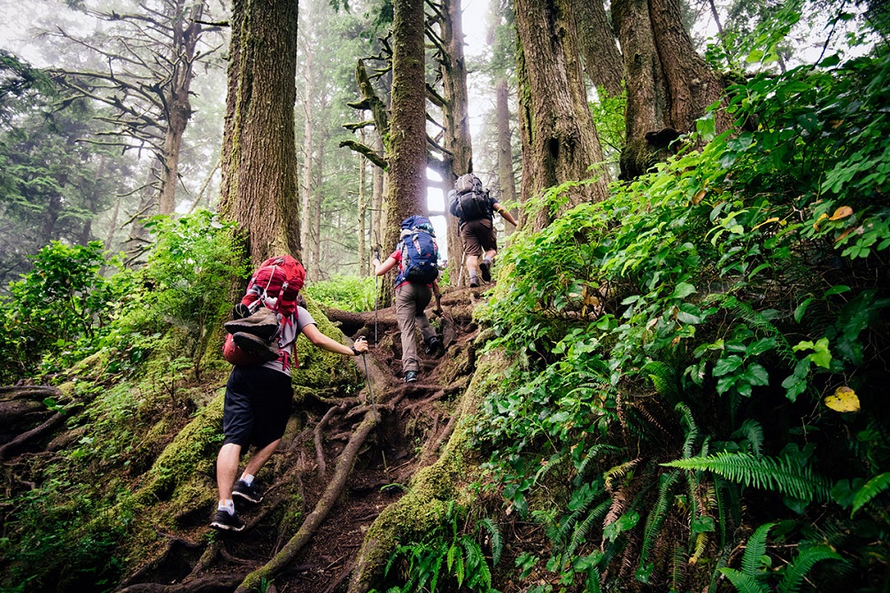 West Coast Trail, Canada 