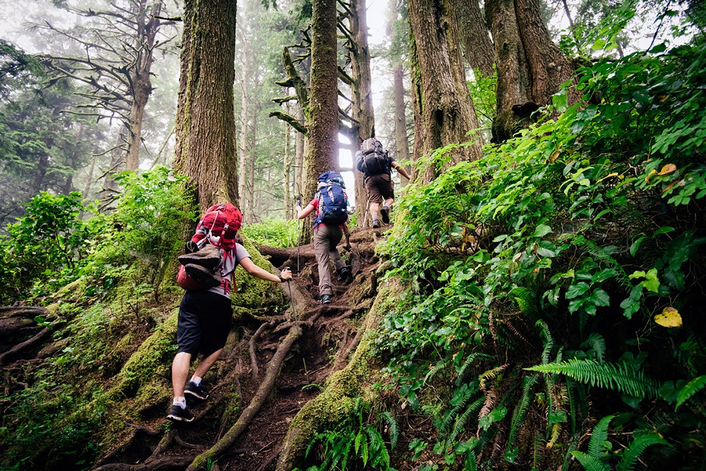 West Coast Trail, Canada 