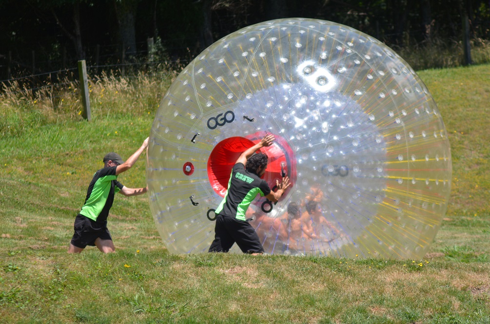 zorbing in New Zealand