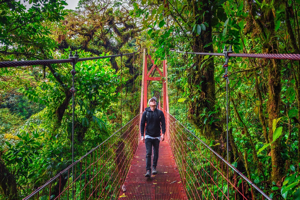  Monteverde Cloud Forest, Costa Rica
