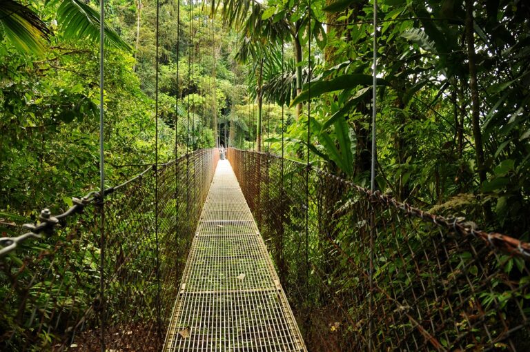 The best things to do in Monteverde, Costa Rica