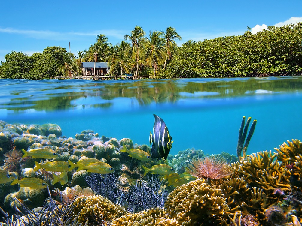 Bocas del Toro, Panama, Caribbean sea