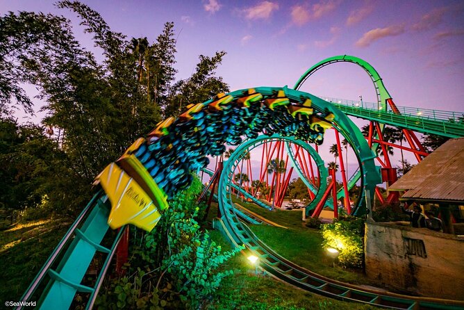 Busch Gardens Tampa Bay has the World's Fastest and Steepest Hybrid Rollercoaster