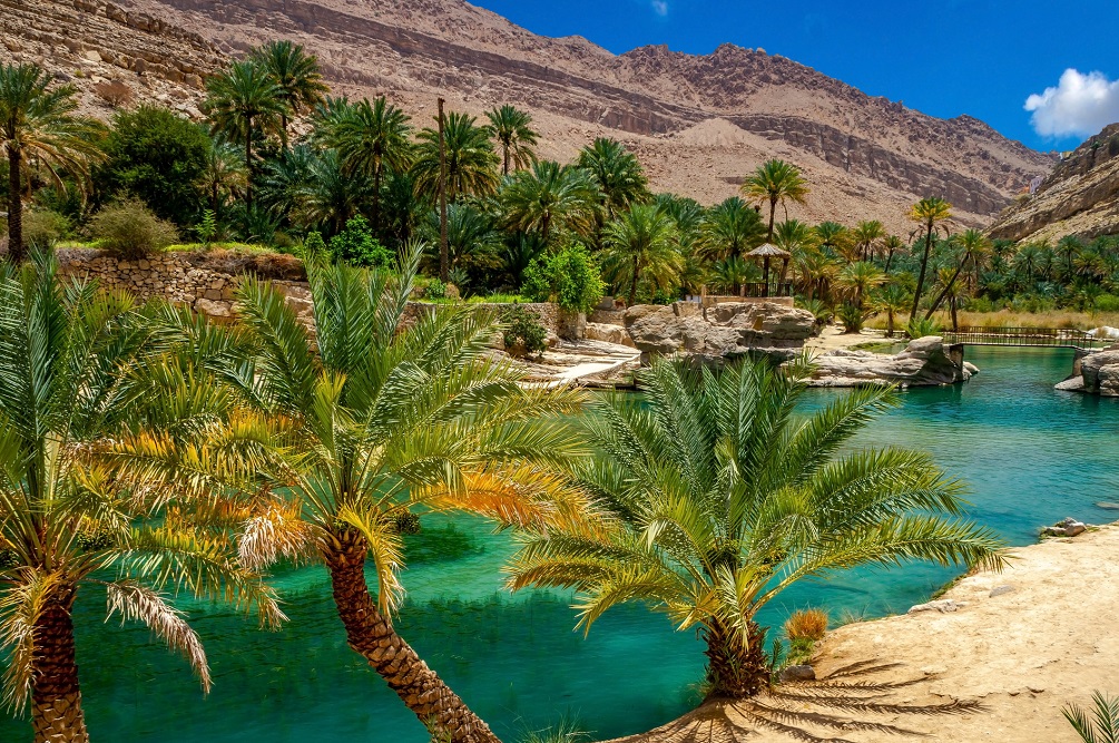 Desert oasis in the Oman
