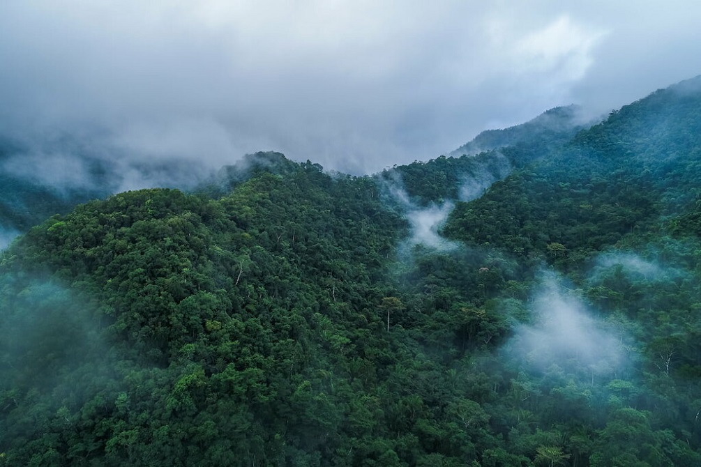 Montecristo-National-Park-El-Salvador