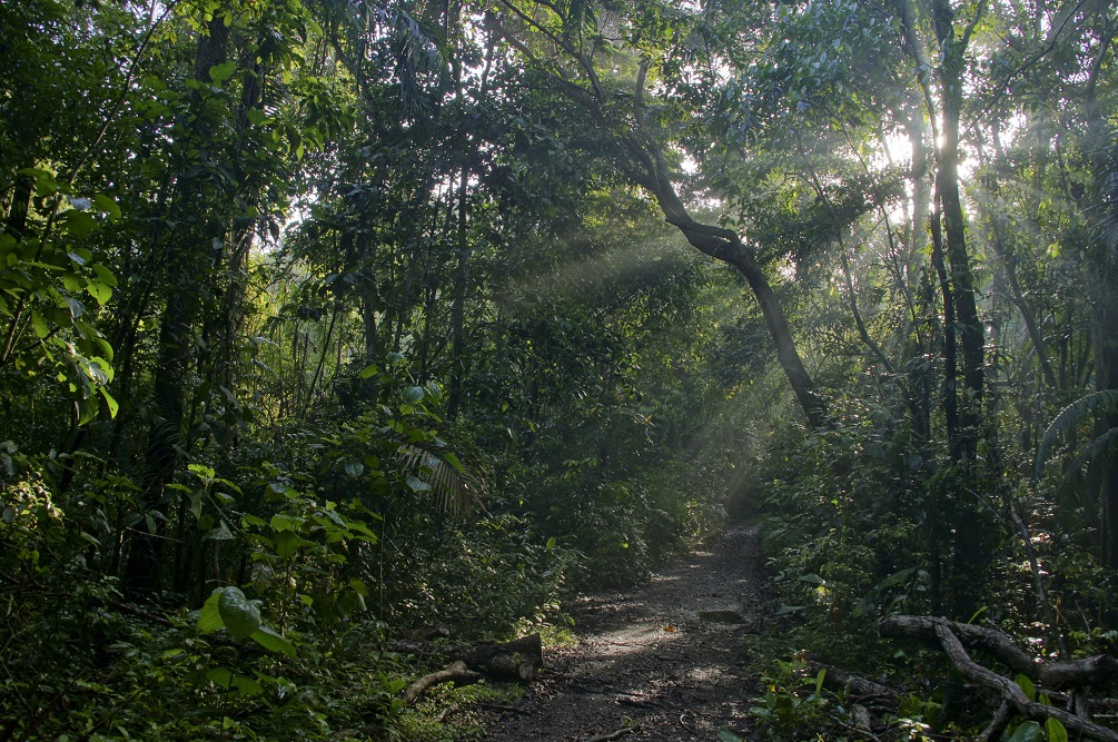 Soberanía National Park – Panama 