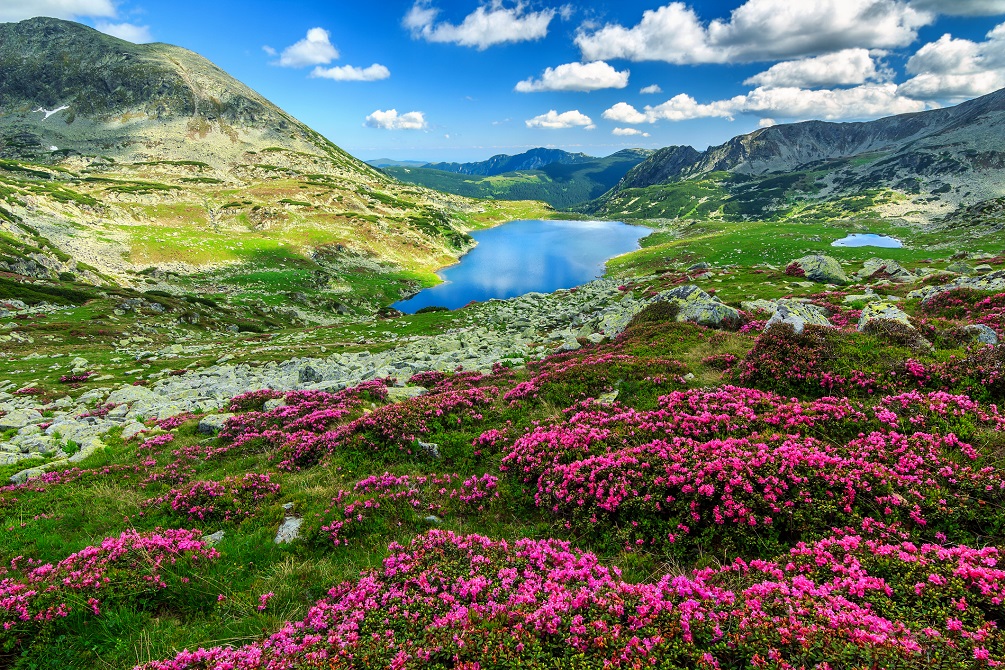 Bucura mountain lakes,Retezat mountains,Romania