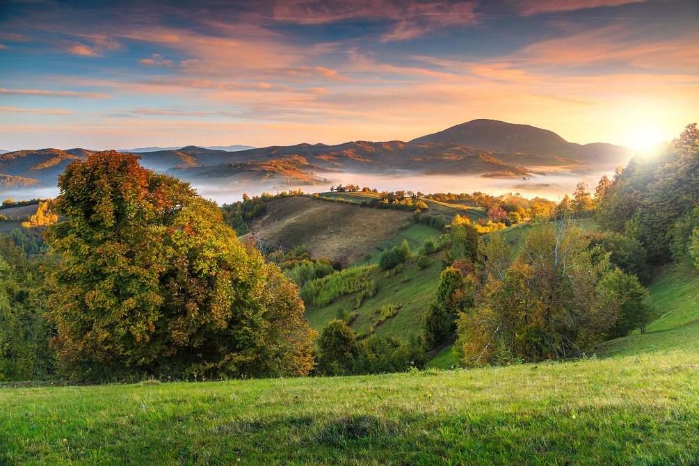 Holbav,Transylvania,Romania,Europe