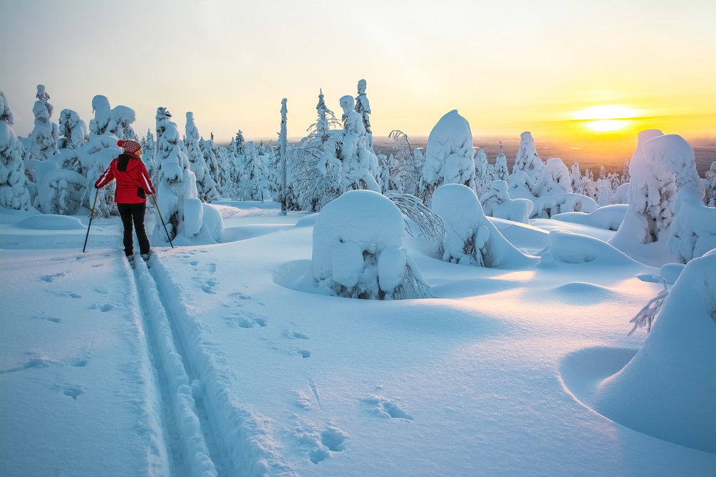 Lapland Finland in sunset
