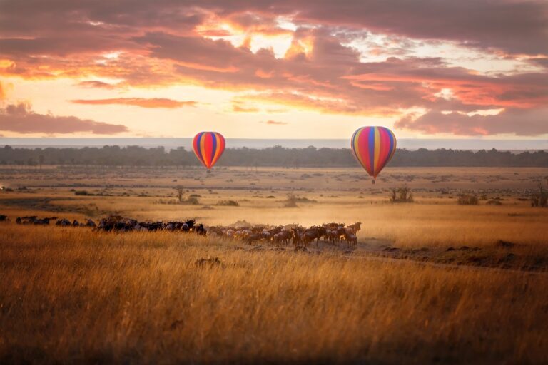 Marriott Enters the African Safari Market