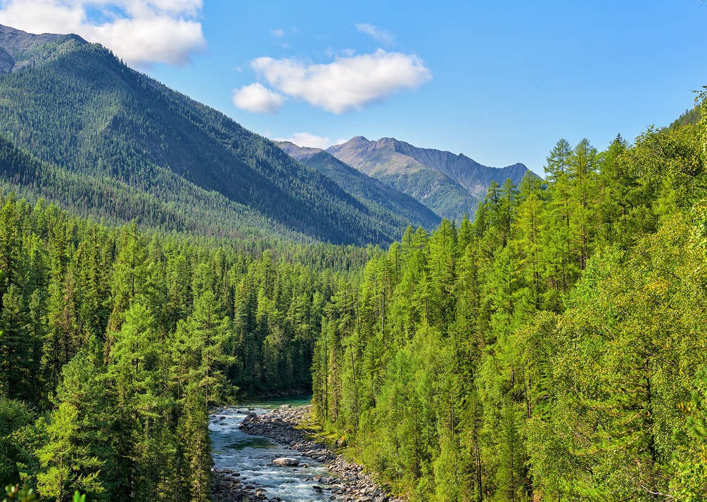 Sayan mountains. Russia