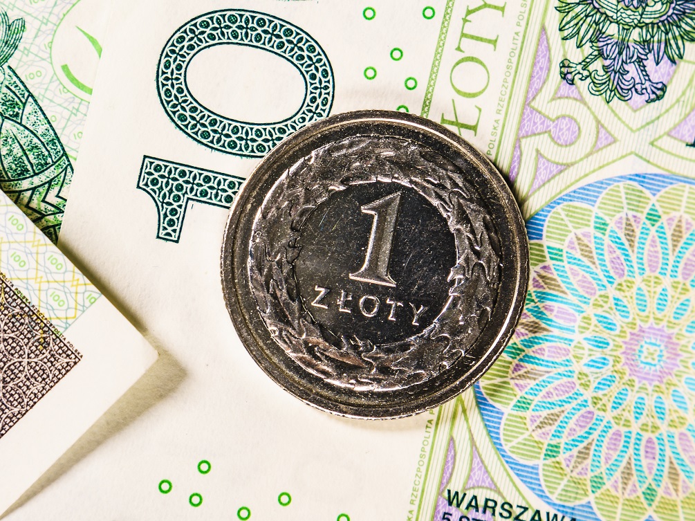 polish zloty banknotes and coins
