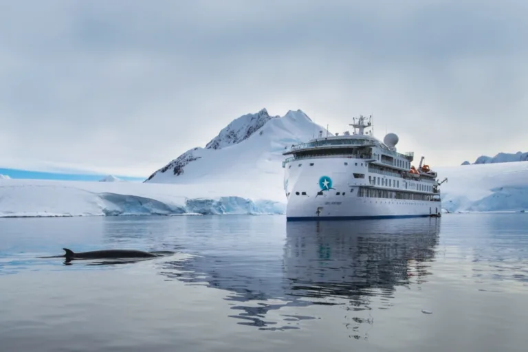 Aurora Expeditions Completed its Return Season to Antarctica