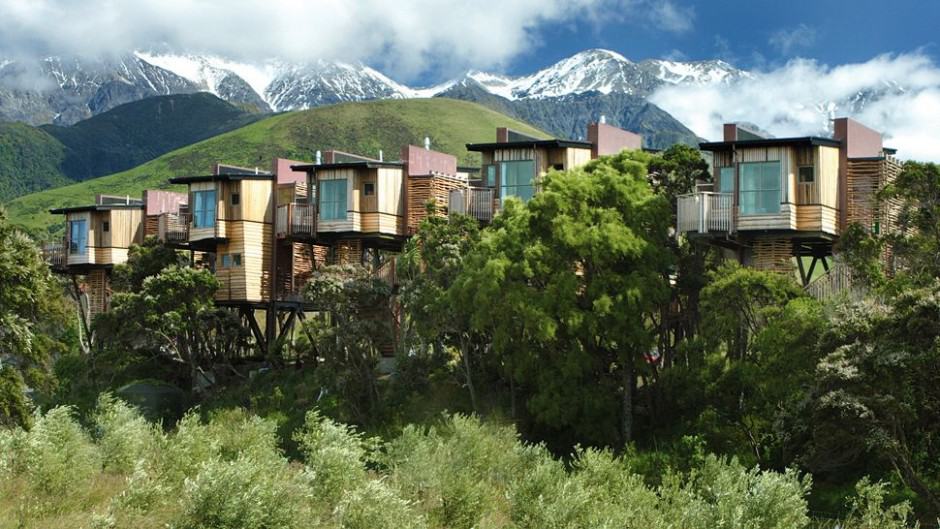 Hapuku Lodge + Tree Houses, New Zealand