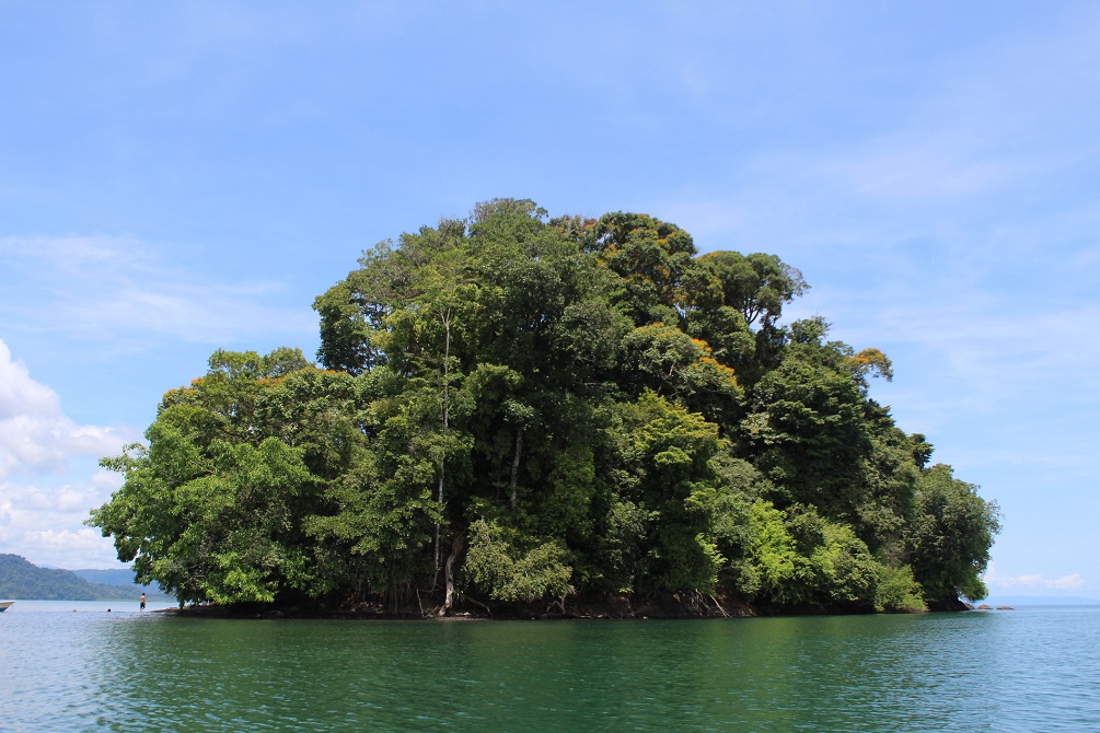Island from Golfo Dulce in the Osa Peninsula of Costa Rica