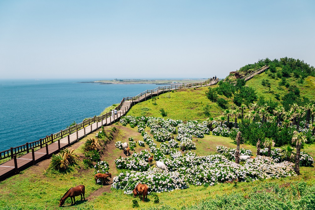 Jeju Island