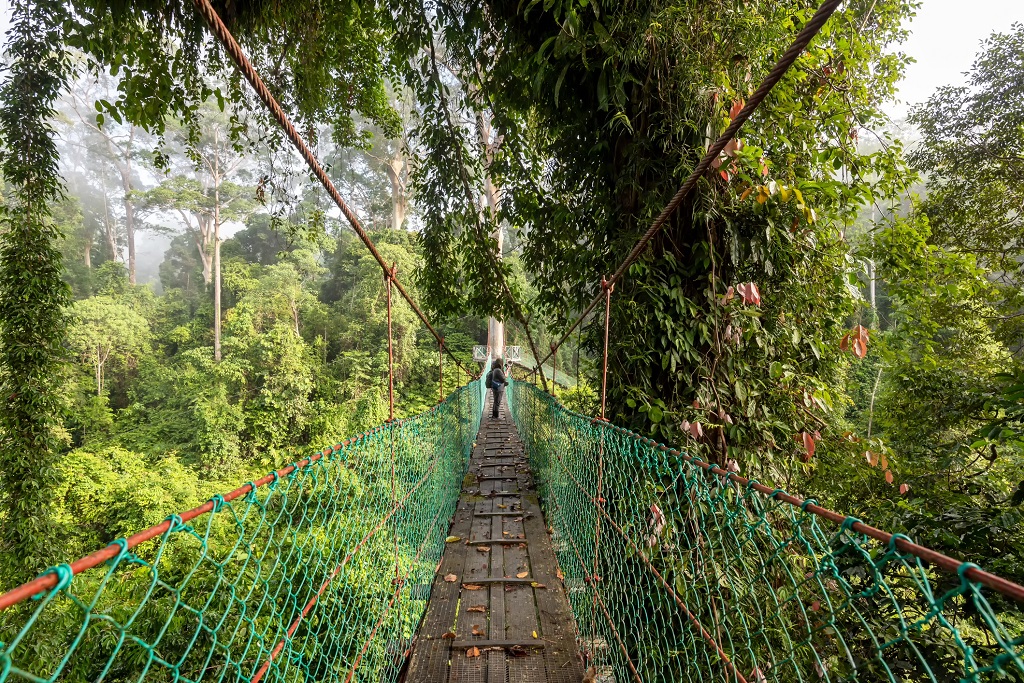 Danum Valley Conservation Area