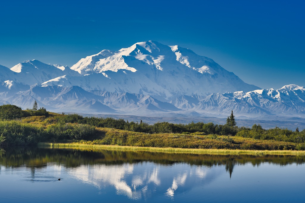 Denali National Park, Alaska.