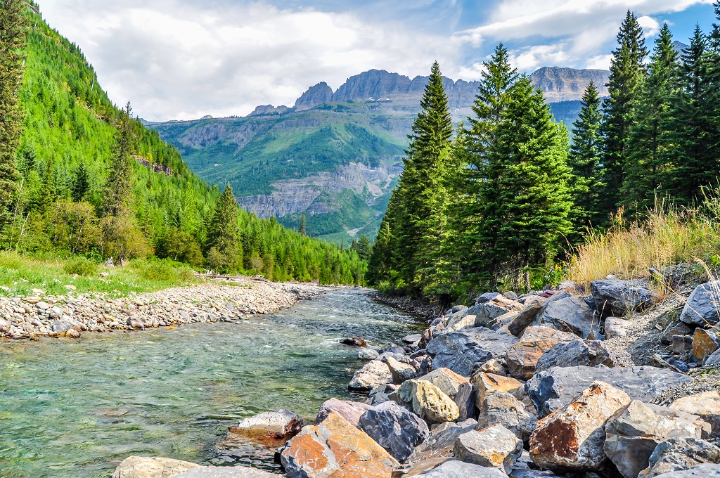 Boulder Line a River in Glacier National Park of Montana