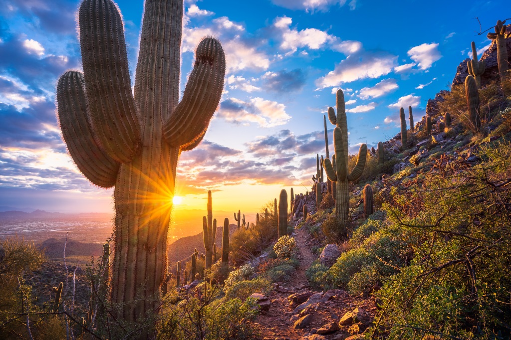 The McDowell Sonoran Preserve