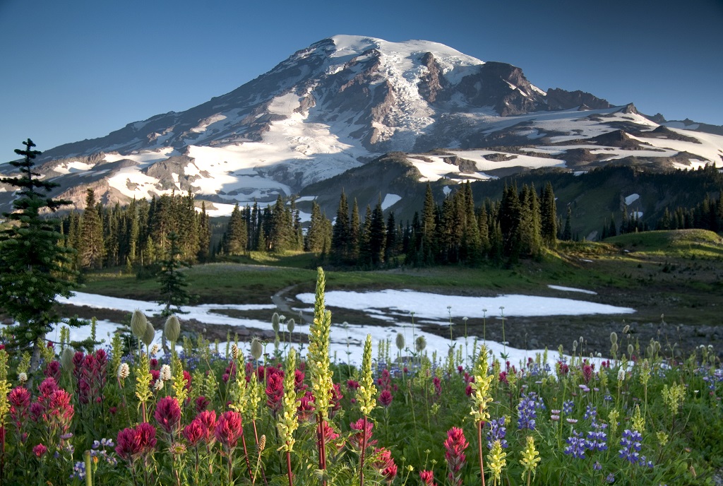 Mount Rainier