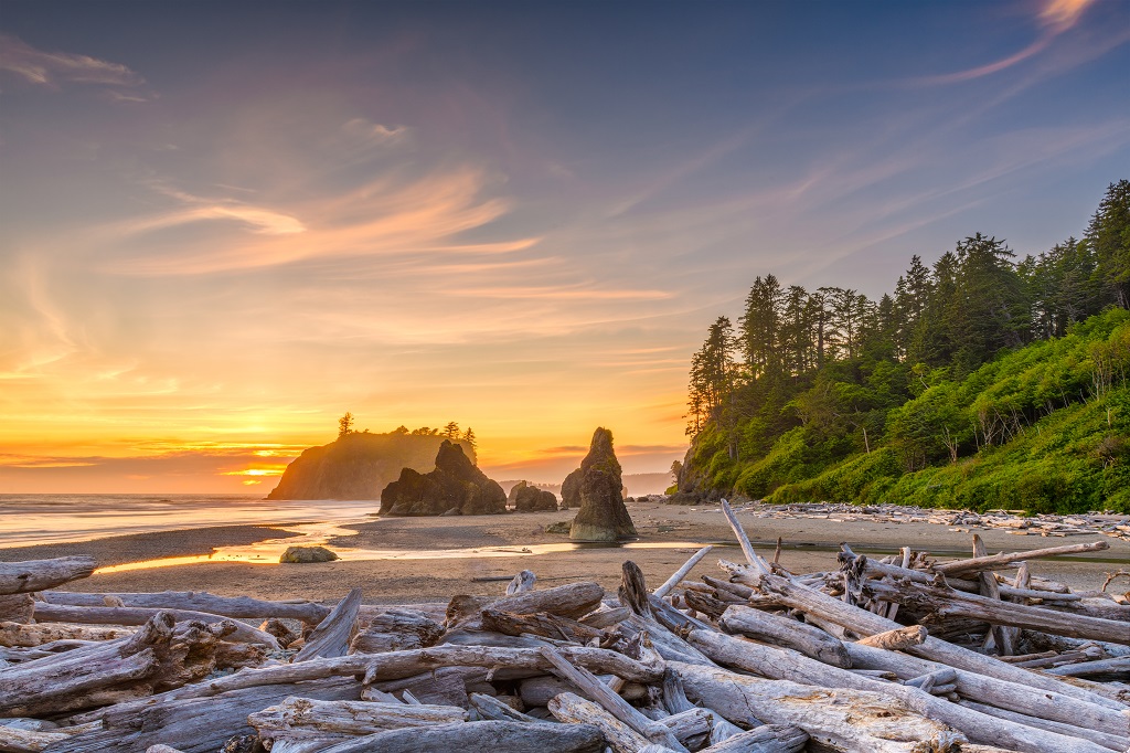 Olympic National Park, Washington, USA