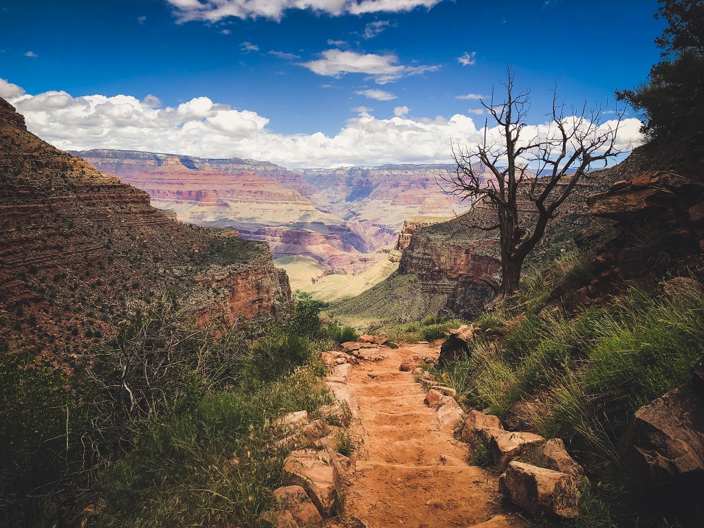 The Bright Angel Trail 