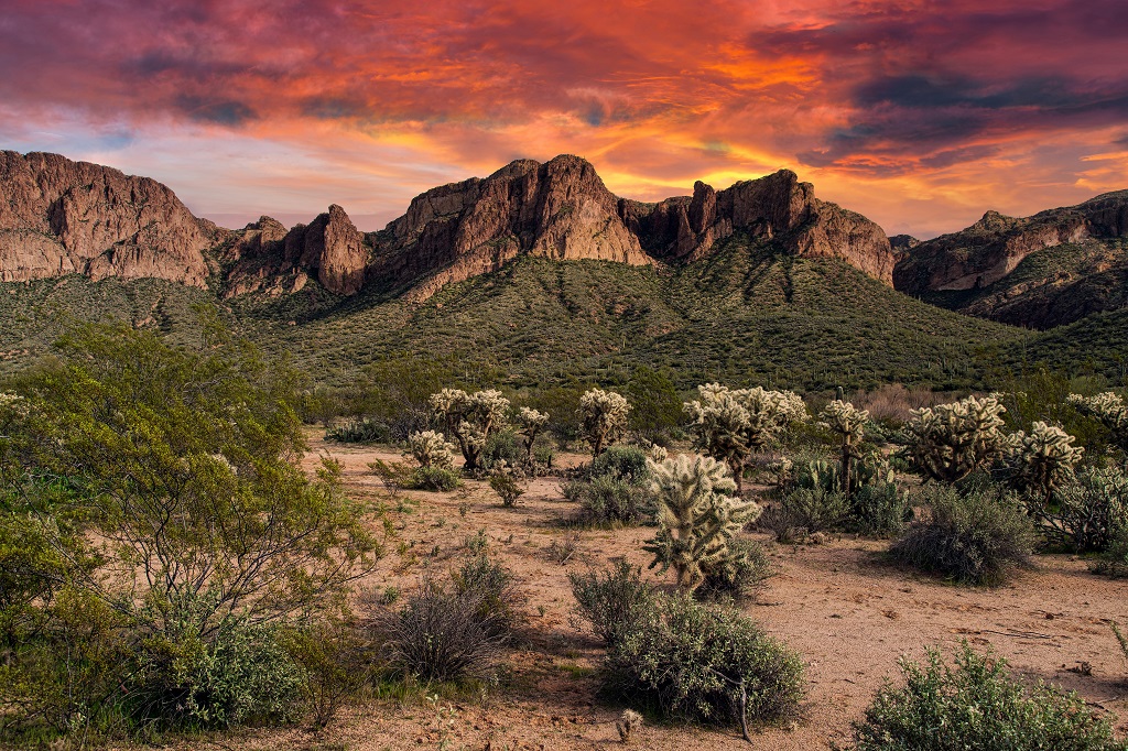 Tonto National Forest