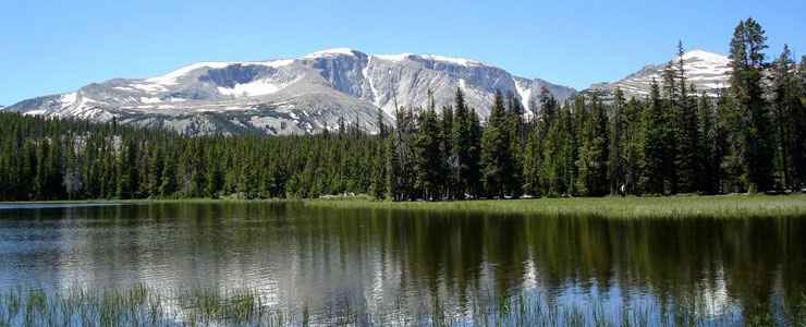 Bighorn National Forest, Montana