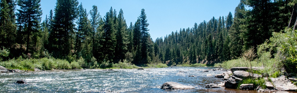 Blackfoot River