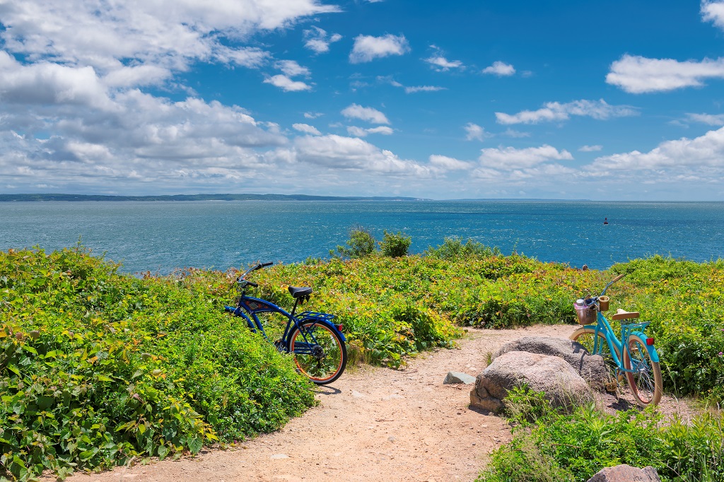 Cape Cod beach trail