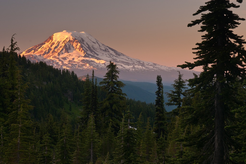 Mount Adams at sunrise as seen from Goat Rocks Wilderness